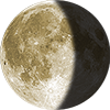 Waning Gibbous on 01/6/2029