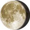 Waning Gibbous on 01/4/2029