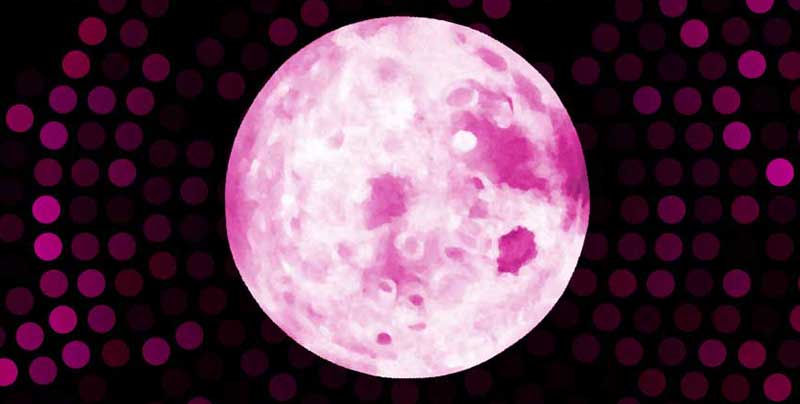 Full Pink Moon