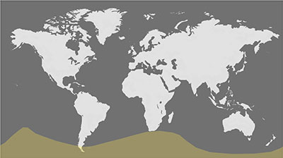 December 5, 2029 Partial Eclipse