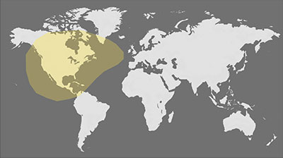 January 14, 2029 Partial Eclipse