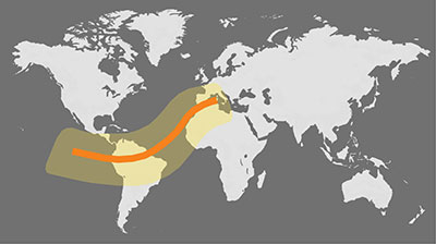 January 26, 2028 Annular Eclipse