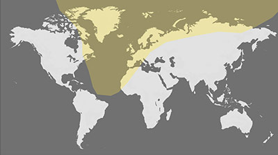 March 29, 2025 - Partial Solar Eclipse